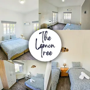 Hostel The Lemon Tree, Larnaca